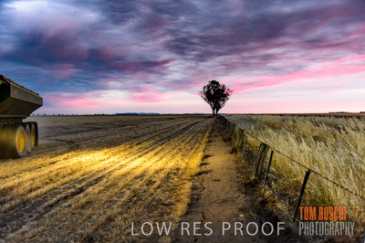 December 2016 / GRAIN_HARVEST_1209