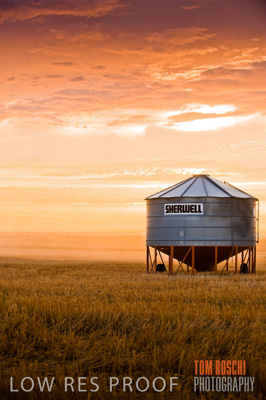 November 2009 / GRAIN_HARVEST_453