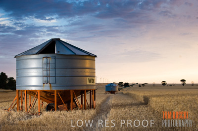 November 2009 / GRAIN_HARVEST_466