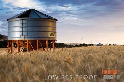 November 2009 / GRAIN_HARVEST_467