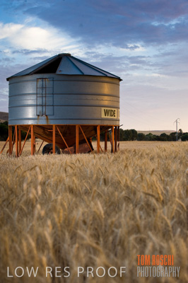 November 2009 / GRAIN_HARVEST_468