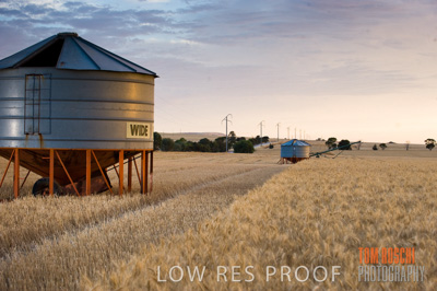 November 2009 / GRAIN_HARVEST_470