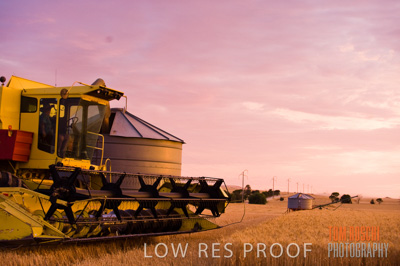 November 2009 / GRAIN_HARVEST_514