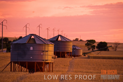 November 2009 / GRAIN_HARVEST_522