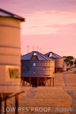 November 2009 / GRAIN_HARVEST_527