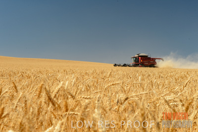 November 2013 / GRAIN_HARVEST_683