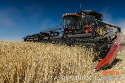 November 2013 / GRAIN_HARVEST_695