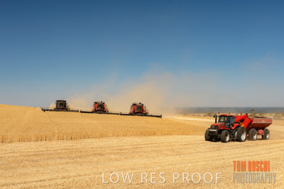 November 2013 / GRAIN_HARVEST_706