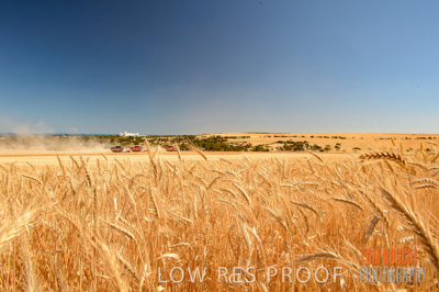 November 2013 / GRAIN_HARVEST_715