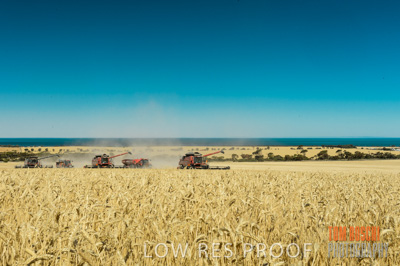 November 2013 / GRAIN_HARVEST_722