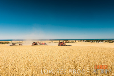 November 2013 / GRAIN_HARVEST_724