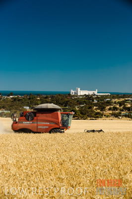 November 2013 / GRAIN_HARVEST_728