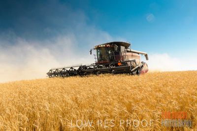 November 2013 / GRAIN_HARVEST_732