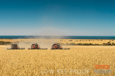 November 2013 / GRAIN_HARVEST_733