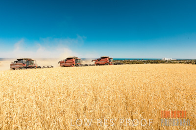 November 2013 / GRAIN_HARVEST_737