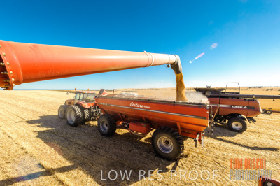 November 2013 / GRAIN_HARVEST_741