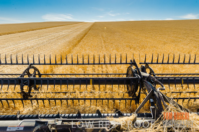 November 2013 / GRAIN_HARVEST_742