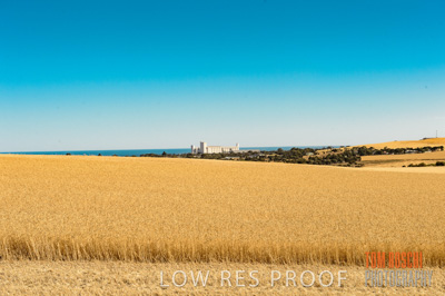 November 2013 / GRAIN_HARVEST_751