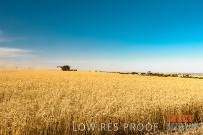 November 2013 / GRAIN_HARVEST_757