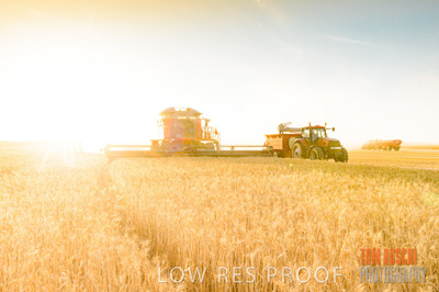 November 2013 / GRAIN_HARVEST_783