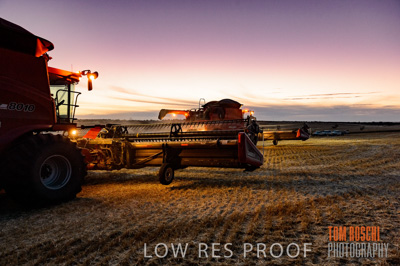 November 2013 / GRAIN_HARVEST_801