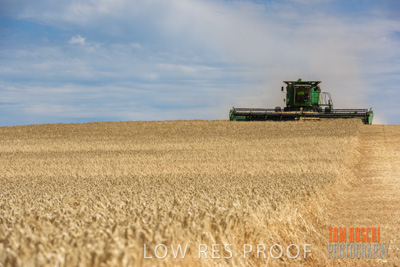 November 2014 / GRAIN_HARVEST_912