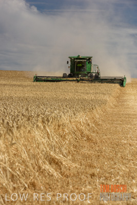 November 2014 / GRAIN_HARVEST_914