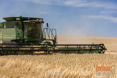 November 2014 / GRAIN_HARVEST_930