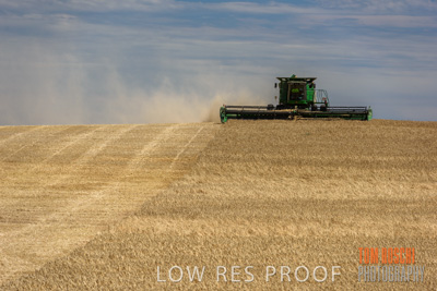 November 2014 / GRAIN_HARVEST_933