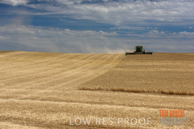 November 2014 / GRAIN_HARVEST_934