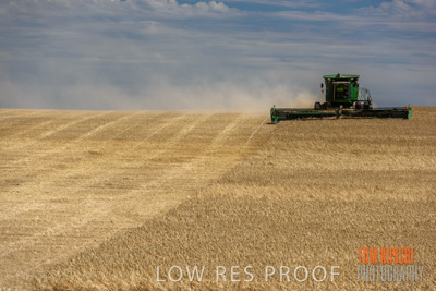 November 2014 / GRAIN_HARVEST_935