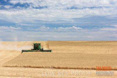 November 2014 / GRAIN_HARVEST_940