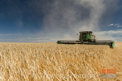 November 2014 / GRAIN_HARVEST_969