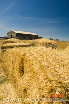 December 2006 / RURAL_SCENES_084