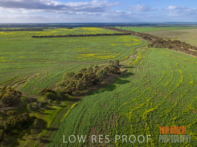 August 2017 / RURAL_SCENES_1353