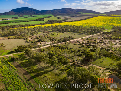 August 2017 / RURAL_SCENES_1354