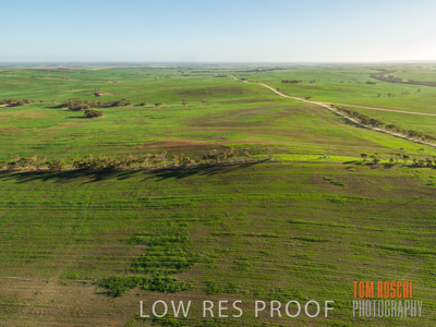 August 2017 / RURAL_SCENES_1366