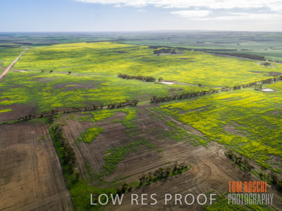 August 2017 / RURAL_SCENES_1371