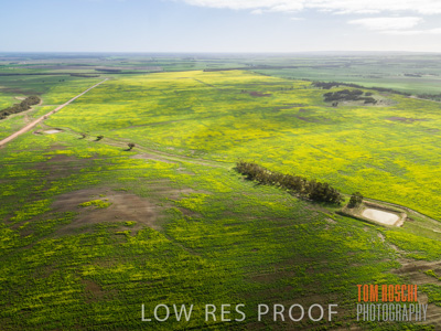 August 2017 / RURAL_SCENES_1372