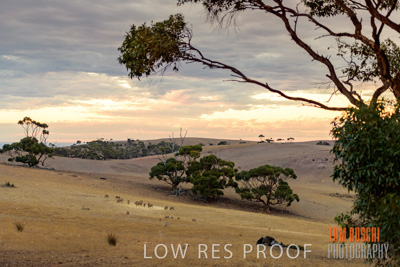 February 2018 / RURAL_SCENES_1547