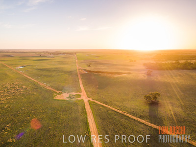 July 2018 / RURAL_SCENES_1563