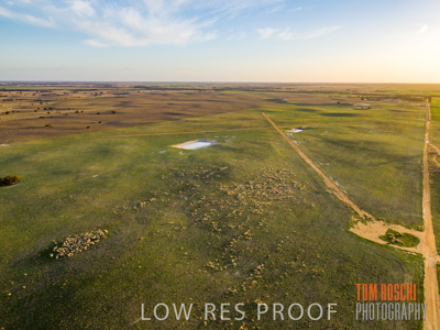 July 2018 / RURAL_SCENES_1565