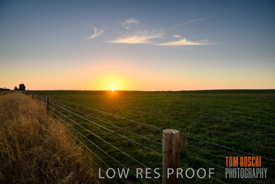 July 2018 / RURAL_SCENES_1566