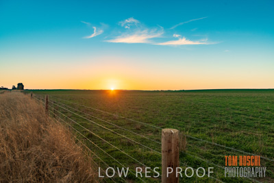 July 2018 / RURAL_SCENES_1567