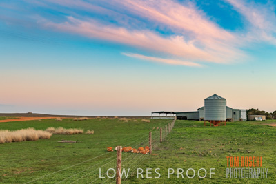 July 2018 / RURAL_SCENES_1568