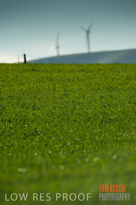 July 2009 / RURAL_SCENES_357