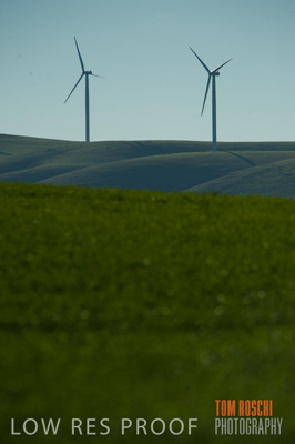 July 2009 / RURAL_SCENES_359