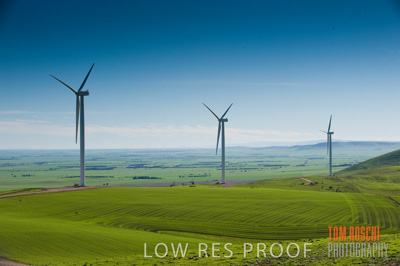 July 2009 / RURAL_SCENES_422