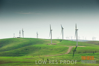 July 2009 / RURAL_SCENES_423