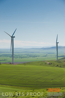 July 2009 / RURAL_SCENES_424